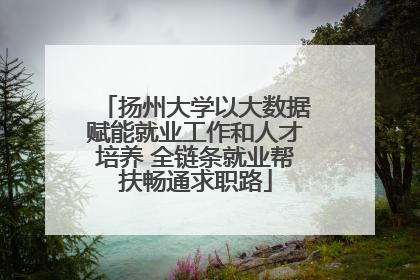 扬州大学以大数据赋能就业工作和人才培养 全链条就业帮扶畅通求职路