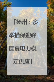 扬州：多举措保迎峰度夏电力稳定供应