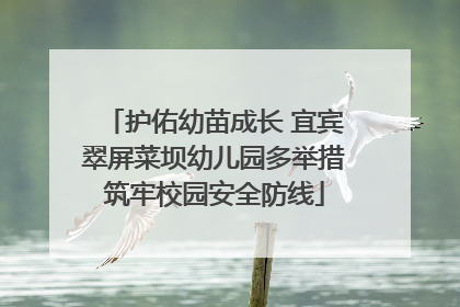 护佑幼苗成长 宜宾翠屏菜坝幼儿园多举措筑牢校园安全防线