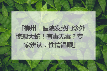 柳州一医院发热门诊外惊现大蛇！有毒无毒？专家辨认：性情温顺