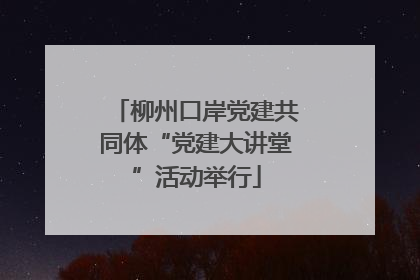 柳州口岸党建共同体“党建大讲堂”活动举行
