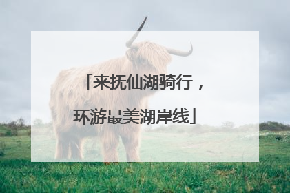 来抚仙湖骑行，环游最美湖岸线