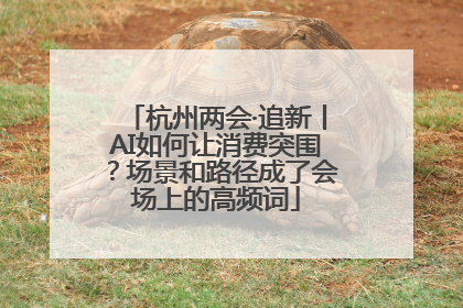 杭州两会·追新丨AI如何让消费突围？场景和路径成了会场上的高频词