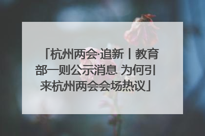 杭州两会·追新丨教育部一则公示消息 为何引来杭州两会会场热议