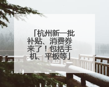杭州新一批补贴、消费券来了！包括手机、平板等