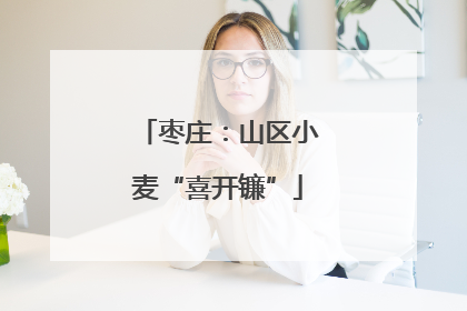 枣庄：山区小麦“喜开镰”