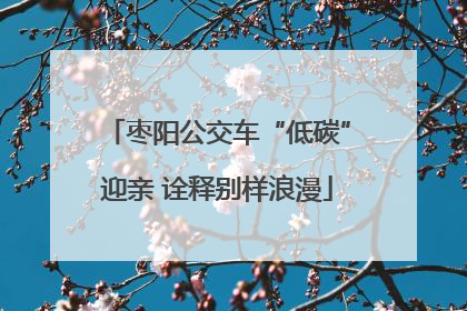枣阳公交车“低碳”迎亲 诠释别样浪漫