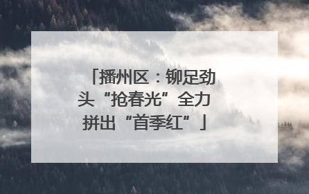 播州区：铆足劲头“抢春光”全力拼出“首季红”