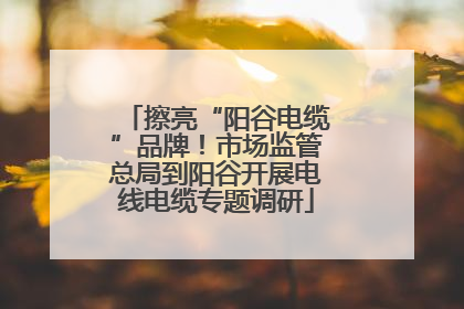 擦亮“阳谷电缆”品牌！市场监管总局到阳谷开展电线电缆专题调研