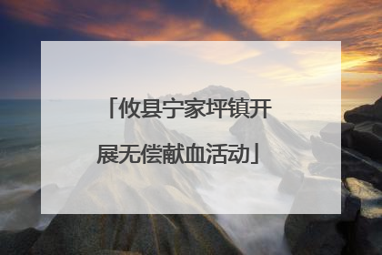 攸县宁家坪镇开展无偿献血活动