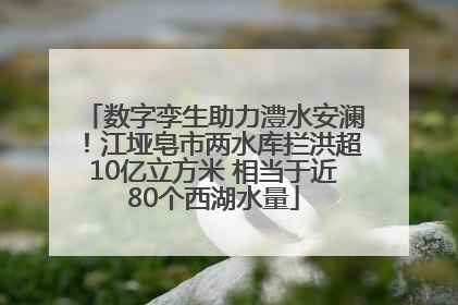 数字孪生助力澧水安澜！江垭皂市两水库拦洪超10亿立方米 相当于近80个西湖水量