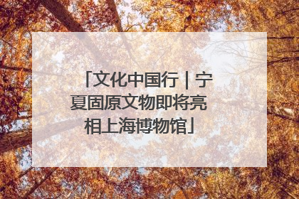 文化中国行｜宁夏固原文物即将亮相上海博物馆