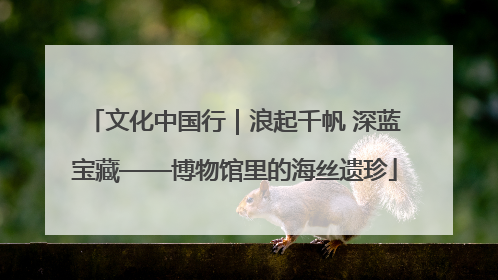 文化中国行｜浪起千帆 深蓝宝藏——博物馆里的海丝遗珍