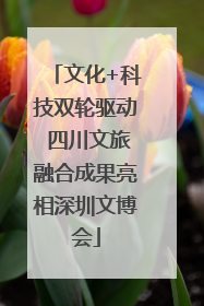 文化+科技双轮驱动 四川文旅融合成果亮相深圳文博会