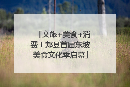 文旅+美食+消费！郏县首届东坡美食文化季启幕