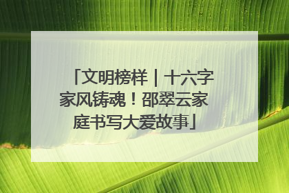 文明榜样｜十六字家风铸魂！邵翠云家庭书写大爱故事
