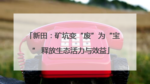 新田：矿坑变“废”为“宝” 释放生态活力与效益