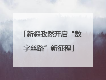 新疆孜然开启“数字丝路”新征程