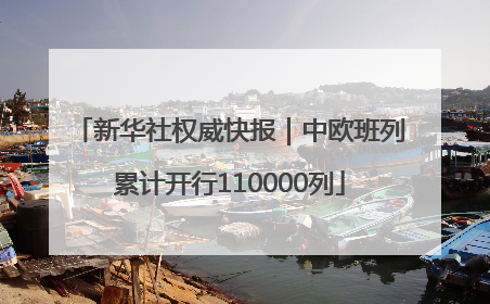 新华社权威快报｜中欧班列累计开行110000列