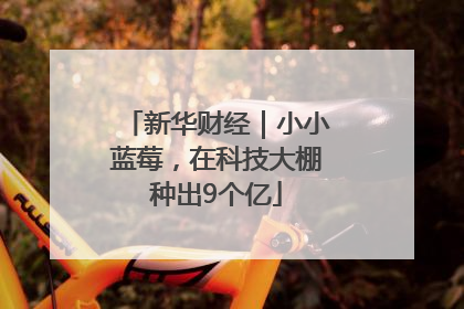 新华财经｜小小蓝莓，在科技大棚种出9个亿