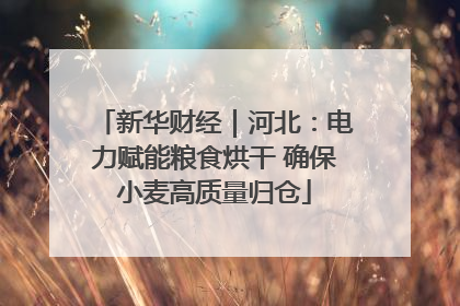 新华财经｜河北：电力赋能粮食烘干 确保小麦高质量归仓