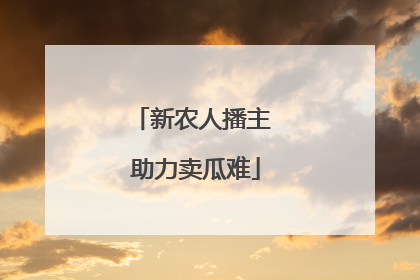 新农人播主 助力卖瓜难