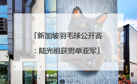 新加坡羽毛球公开赛：陆光祖获男单亚军