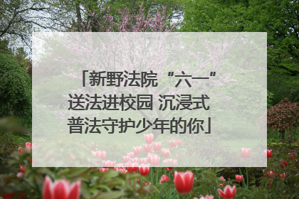 新野法院“六一”送法进校园 沉浸式普法守护少年的你