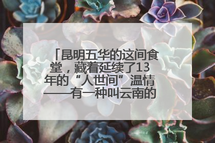 昆明五华的这间食堂，藏着延续了13年的“人世间”温情——有一种叫云南的生活之365天