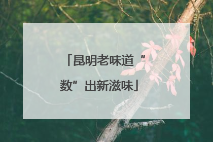 昆明老味道“数”出新滋味