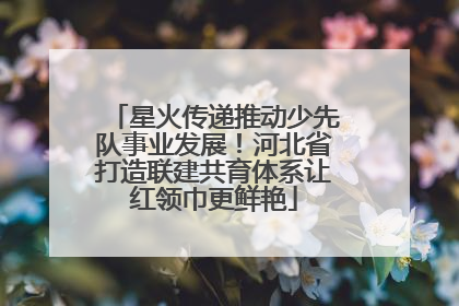 星火传递推动少先队事业发展！河北省打造联建共育体系让红领巾更鲜艳