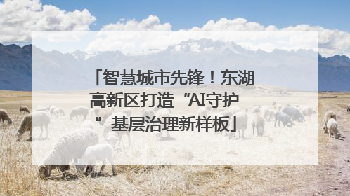 智慧城市先锋！东湖高新区打造“AI守护”基层治理新样板