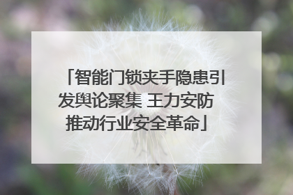 智能门锁夹手隐患引发舆论聚集 王力安防推动行业安全革命