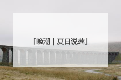 晚潮｜夏日说莲