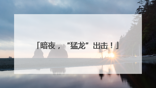 暗夜，“猛龙”出击！