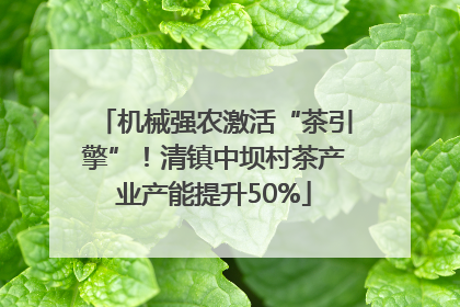 机械强农激活“茶引擎”！清镇中坝村茶产业产能提升50%