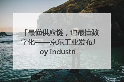 最懂供应链，也最懂数字化——京东工业发布Joy Industrial 重塑工业未来