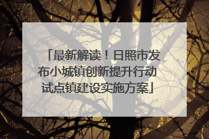 最新解读！日照市发布小城镇创新提升行动试点镇建设实施方案