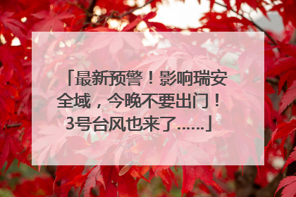 最新预警！影响瑞安全域，今晚不要出门！3号台风也来了……