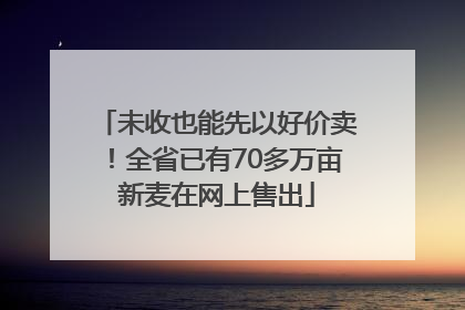 未收也能先以好价卖！全省已有70多万亩新麦在网上售出