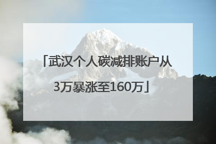 武汉个人碳减排账户从3万暴涨至160万