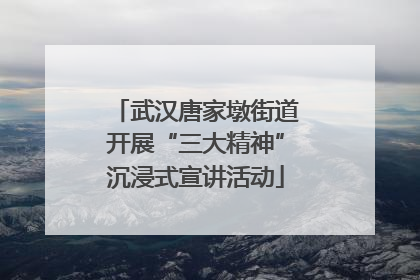 武汉唐家墩街道开展“三大精神”沉浸式宣讲活动
