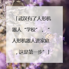 武汉有了人形机器人“学校”，“人形机器人进家庭，这是第一步”