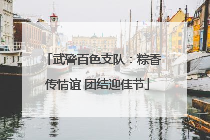 武警百色支队：粽香传情谊 团结迎佳节