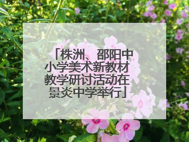 株洲、邵阳中小学美术新教材教学研讨活动在景炎中学举行