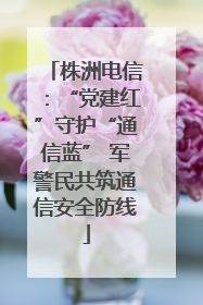 株洲电信：“党建红”守护“通信蓝” 军警民共筑通信安全防线