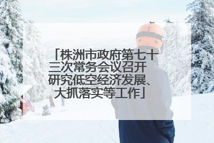 株洲市政府第七十三次常务会议召开 研究低空经济发展、大抓落实等工作