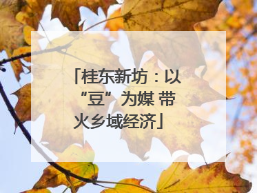桂东新坊：以“豆”为媒 带火乡域经济