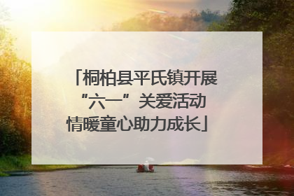 桐柏县平氏镇开展“六一”关爱活动 情暖童心助力成长