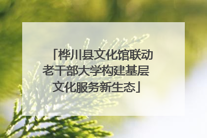 桦川县文化馆联动老干部大学构建基层文化服务新生态